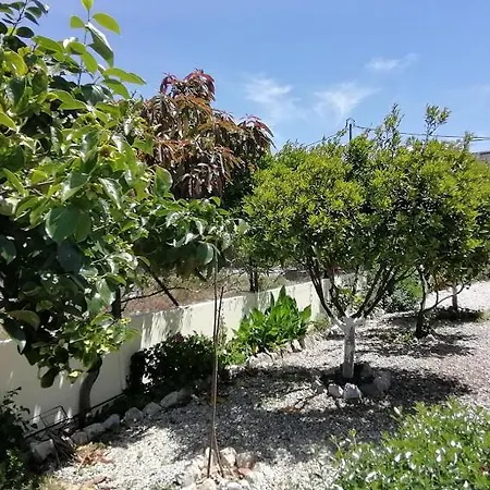 Casa Da Carrasqueira - Ferienhaus